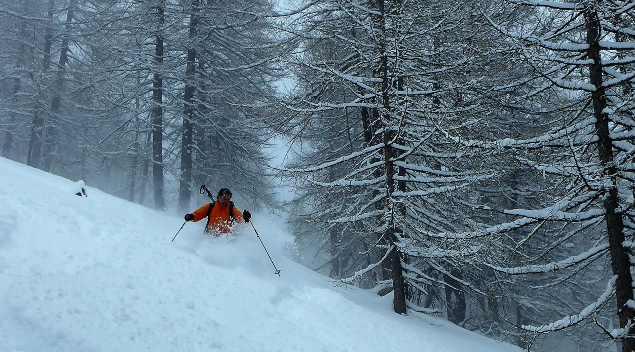 Novi kraji (Smučarski februar)