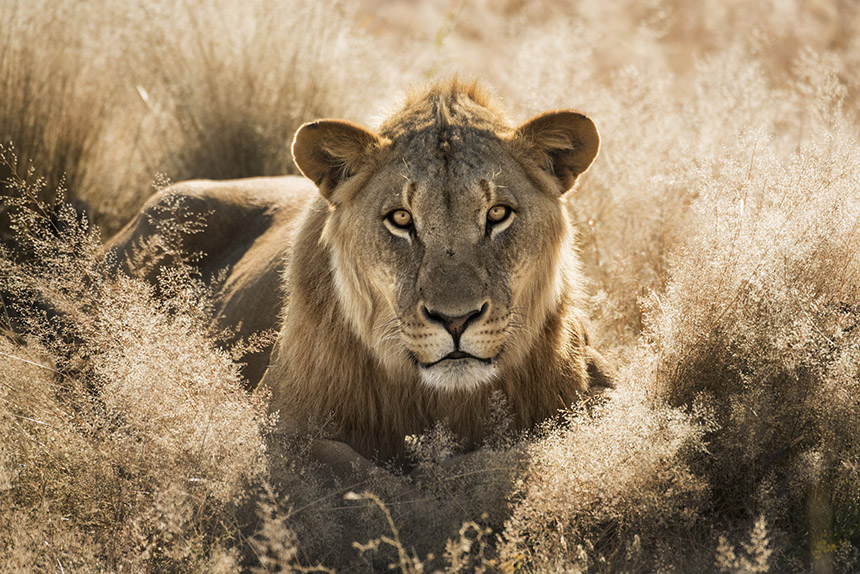 Namibijska avantura 