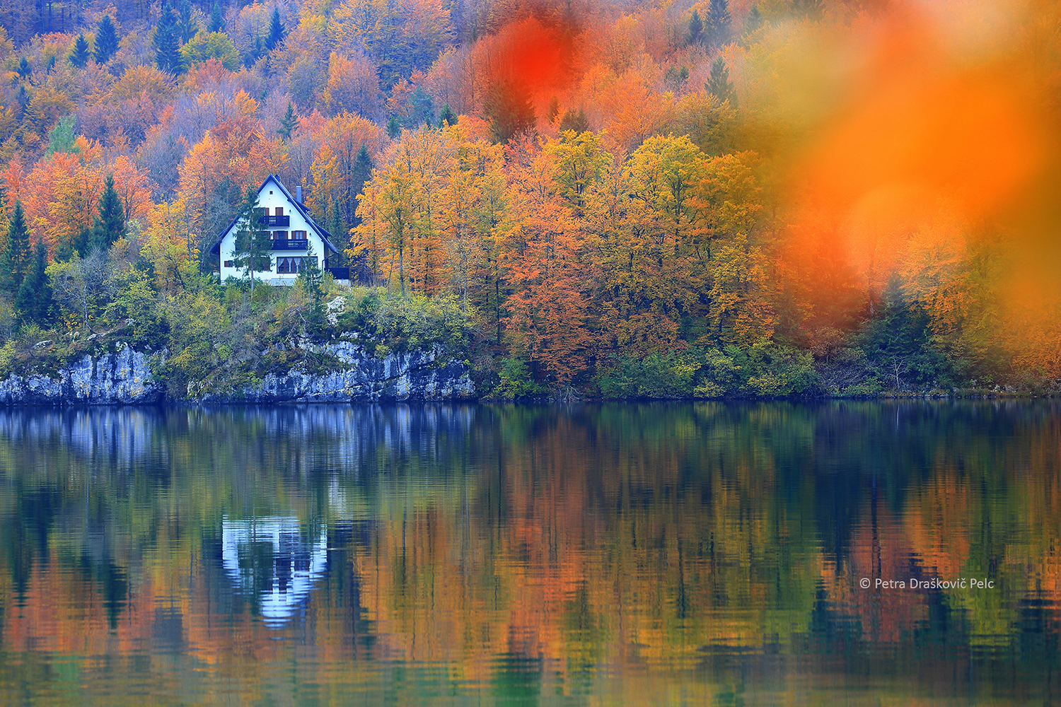 THE AUTUMN FACES OF BOHINJ