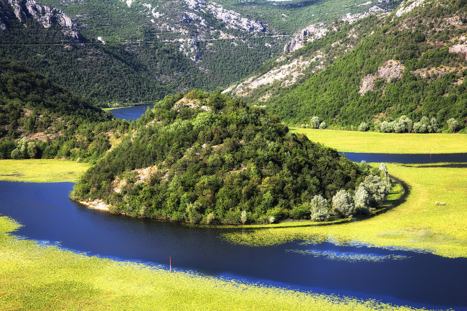 Breath-taking wetlands