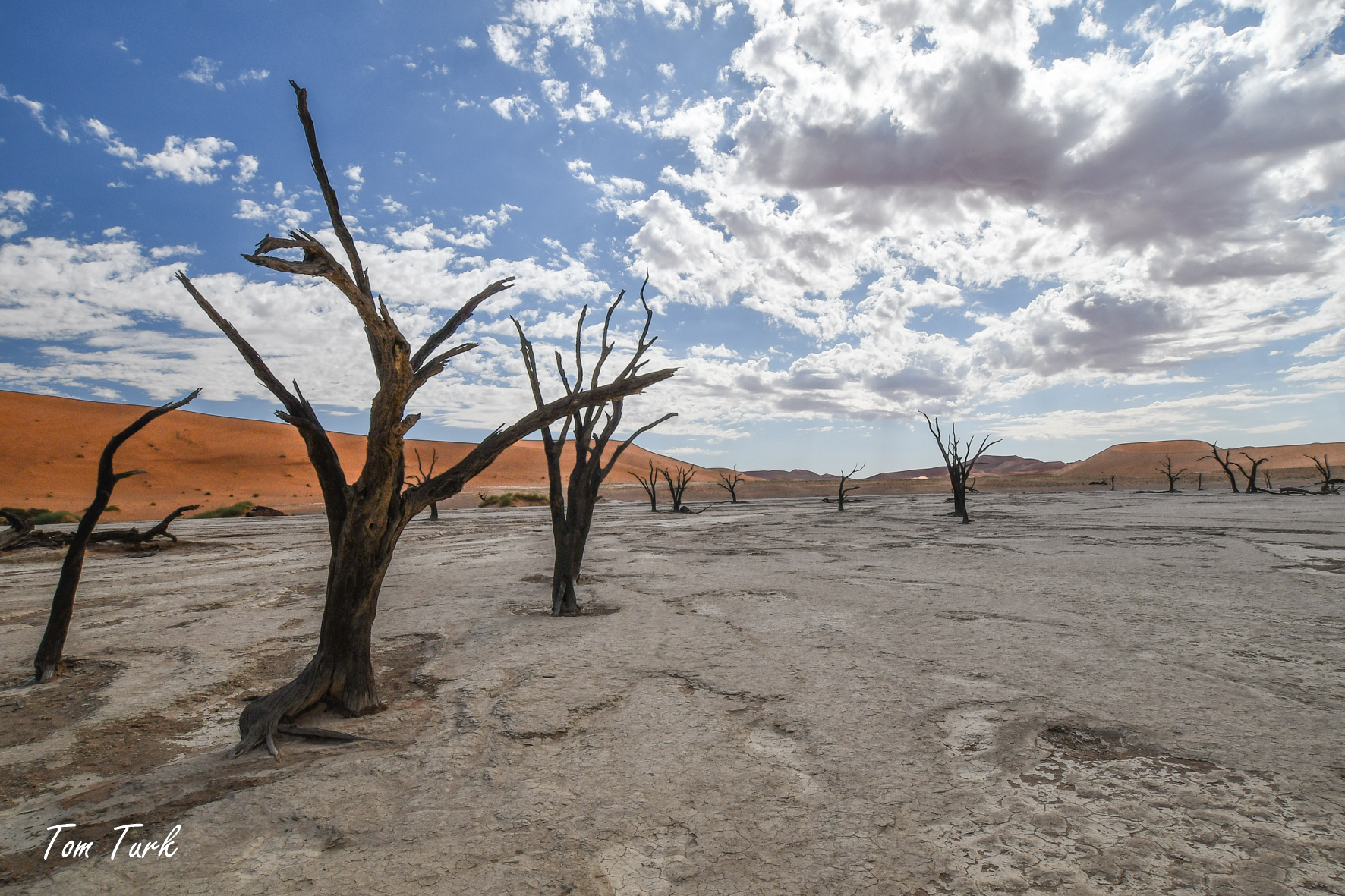 Letos pa spet v Namibijo