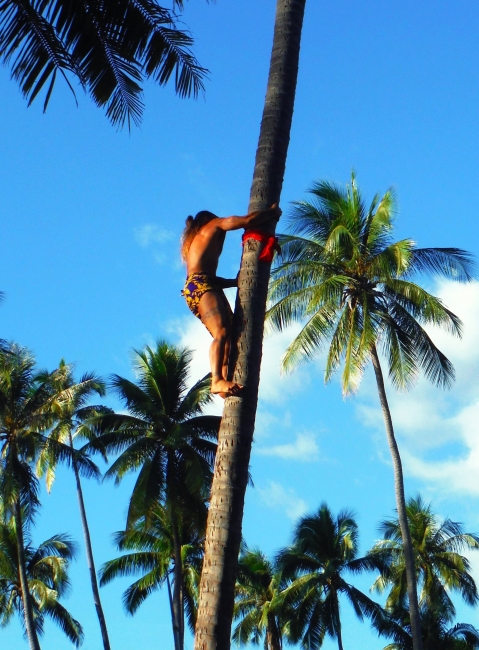 Polynesian sports