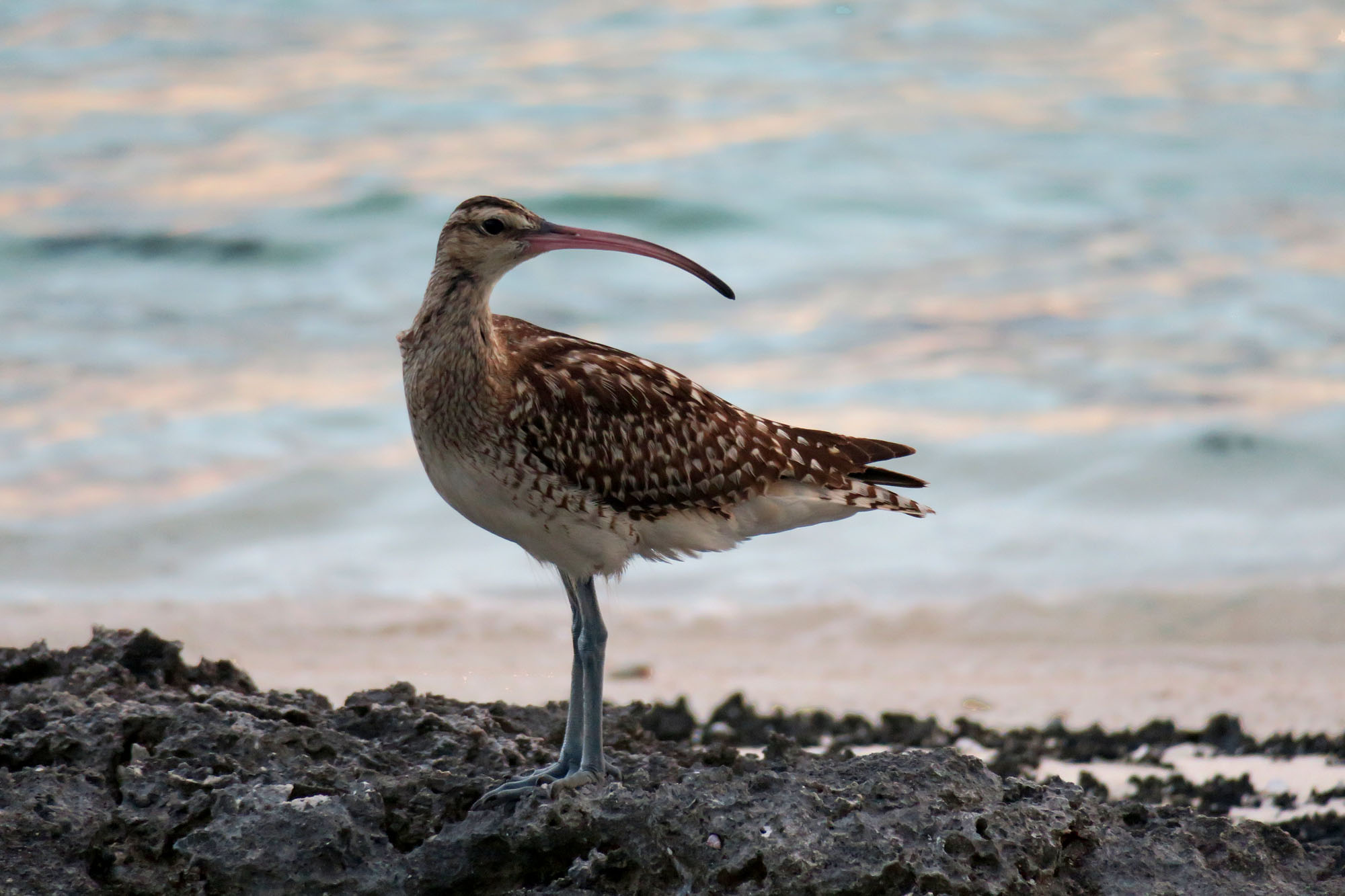 Rangiroa