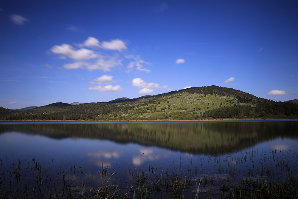 Petelinsko jezero