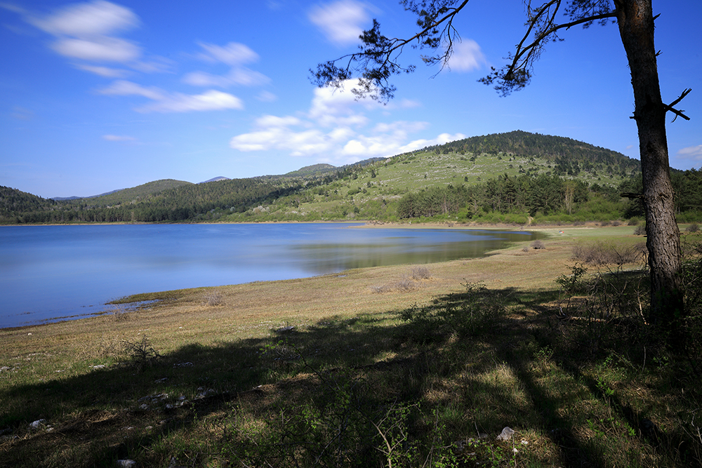 Petelinsko jezero