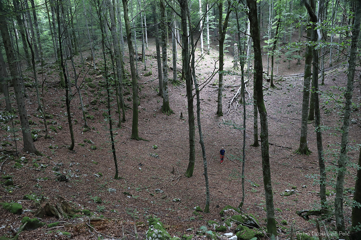 Foto: Petra Draškovič Pelc