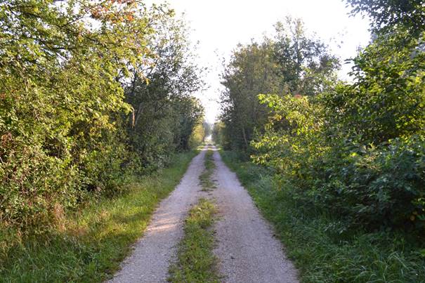 Slovo napoveduje vrnitev