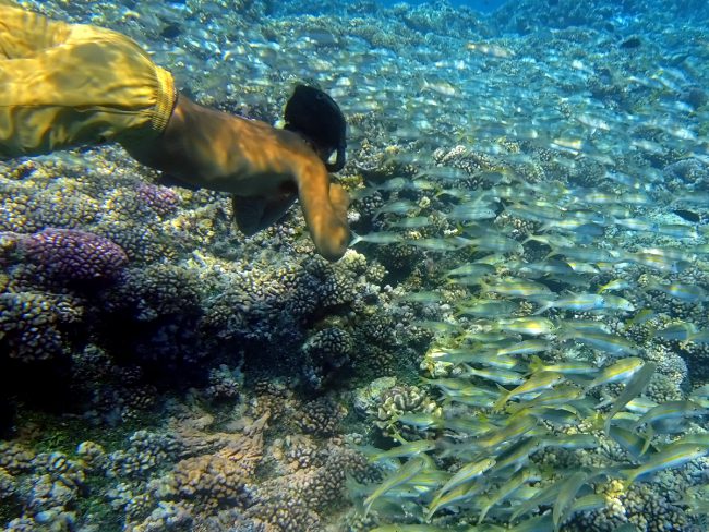 Always have something to photograph when you are underwater?