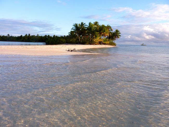 Row to the sandy island, which is only going to be yours and yours alone, with palm trees and beautiful pink sand? 