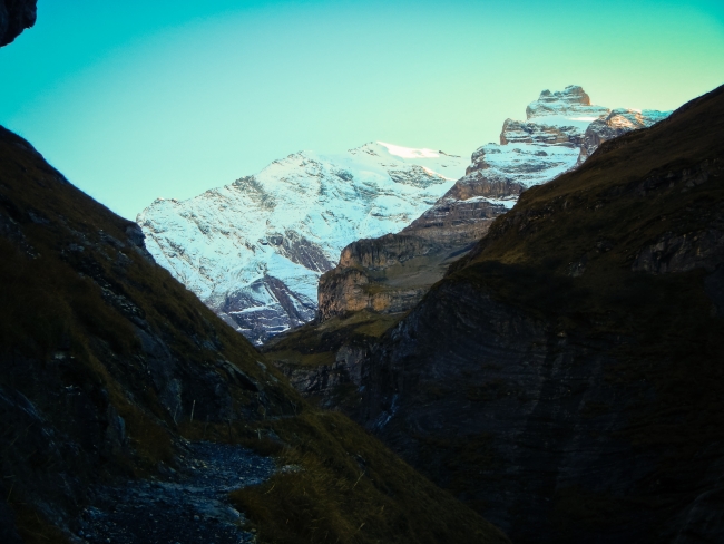 The returning view at Dündenhorn.